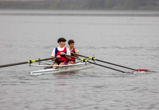 Insubria Rowing Cup 2024-1