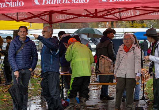Insubria Rowing Cup 2024-9