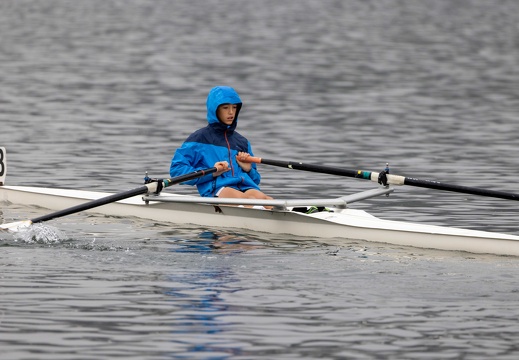 Insubria Rowing Cup 2024-10