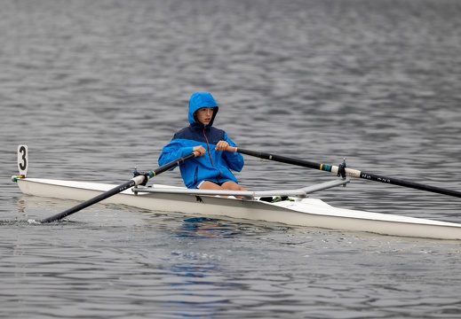 Insubria Rowing Cup 2024-11