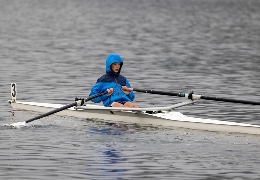 Insubria Rowing Cup 2024-12